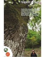 Giganti di legno e foglie