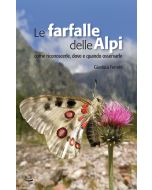 Le farfalle delle Alpi