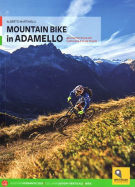 Mountain bike in Adamello